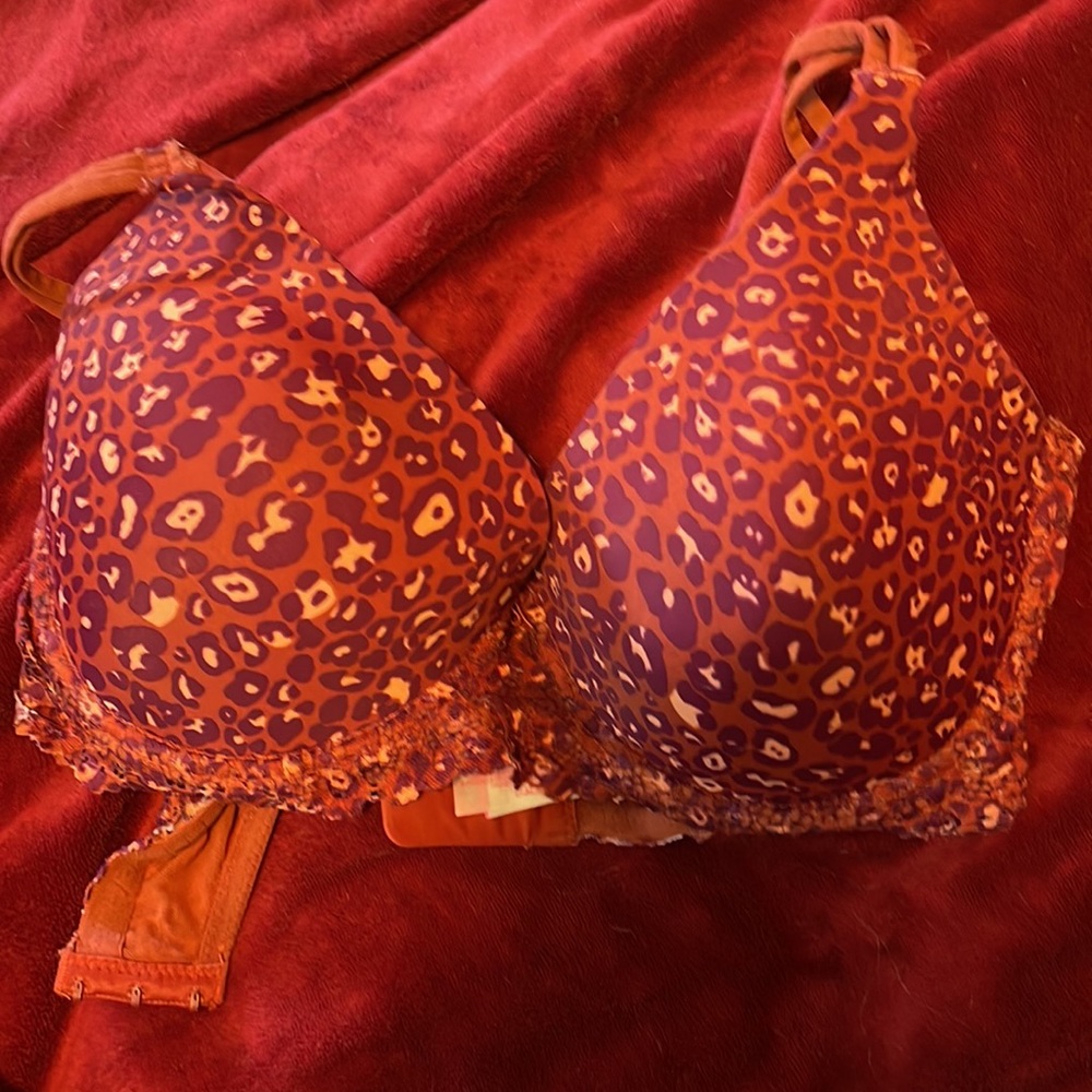 Bra - Picture 3 of 3